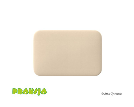 Deskorolka terapeutyczna 40x60 cm  wariant "Pastelowy" - Praksja