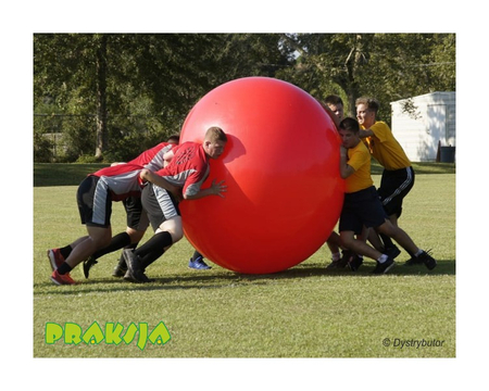 Piłka Olbrzymia MegaBall – Ø180 cm – Gymnic®