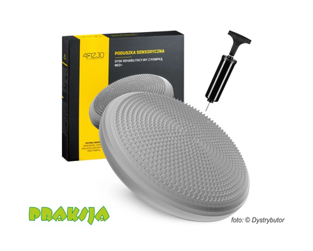 Dysk sensomotoryczny ∅33 cm  - szary - 4Fizjo®