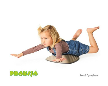 Kolorowe kamienie rzeczne - Gonge® - wariant Nordic