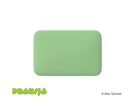 Deskorolka terapeutyczna 40x60 cm - Praksja
