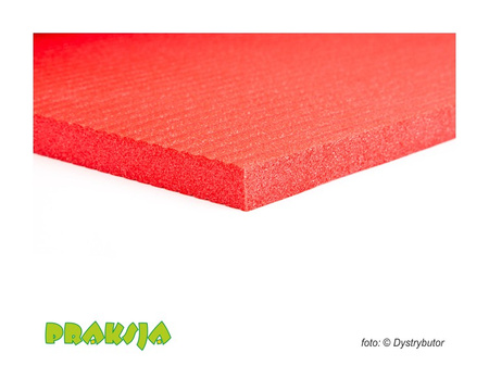 Mata rehabilitacyjna Atlas 200 cm - Airex® 