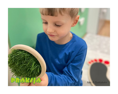 Ścieżka sensoryczna "Sensory Feet 1" zestaw mini 1