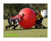 Piłka Olbrzymia MegaBall – Ø180 cm – Gymnic®