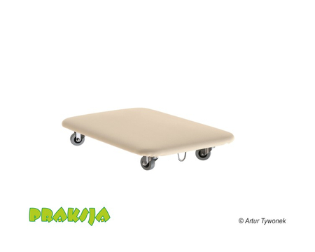 Deskorolka terapeutyczna 40x60 cm  wariant "Pastelowy" - Praksja