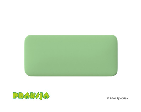 Deskorolka terapeutyczna 40x90 cm - Praksja