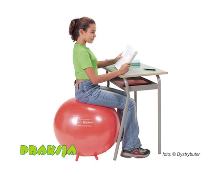 Piłka do siedzenia - ø 55 cm - Sit'n'Gym - Gymnic®