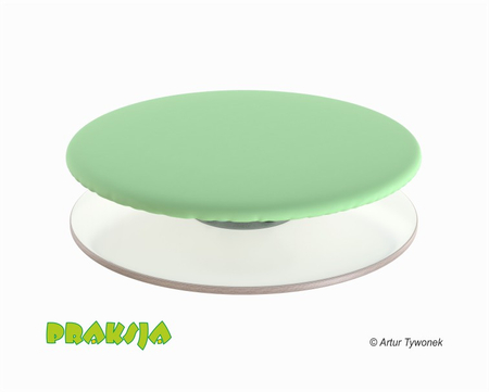 Deska Rotacyjna do Terapii Integracji Sensorycznej ø50 cm - Praksja