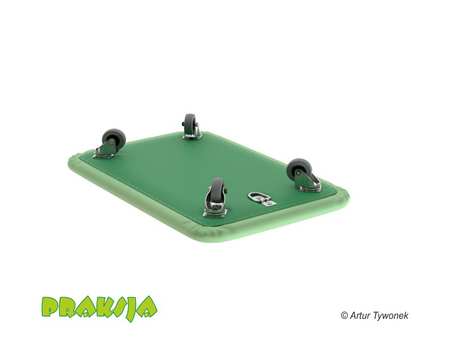 Deskorolka terapeutyczna 40x60 cm - Praksja
