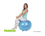 Piłka do siedzenia - ø 65 cm - Sit'n'Gym - Gymnic®