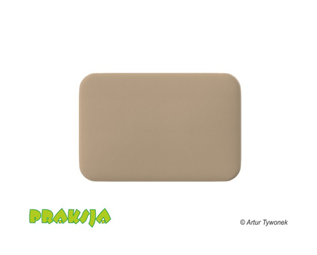 Deskorolka terapeutyczna 60x40 cm  wariant "Pastelowy" - Praksja