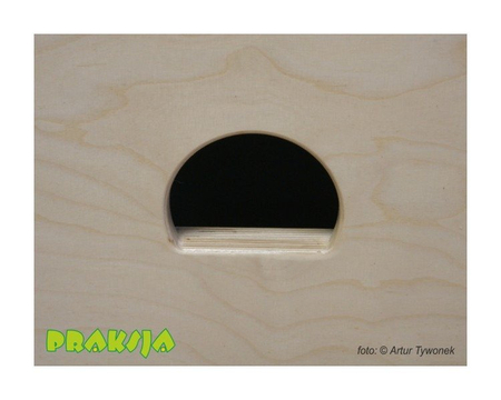 Ścianka wspinaczkowa do terapii integracji sensorycznej - Praksja