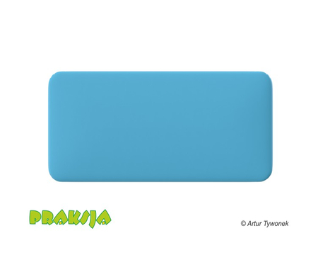 Deskorolka terapeutyczna 50x100 cm - Praksja