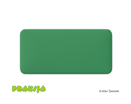 Deskorolka terapeutyczna 50x100 cm - Praksja