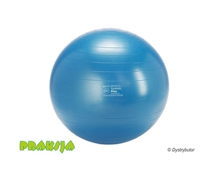 Gymnic Plus piłka do ćwiczeń ABS – Ø65 cm – Gymnic®