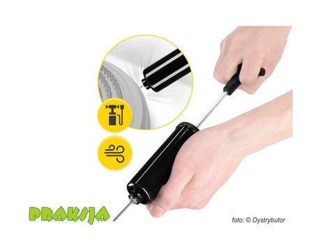 Dysk sensomotoryczny ∅33 cm  - szary - 4Fizjo®