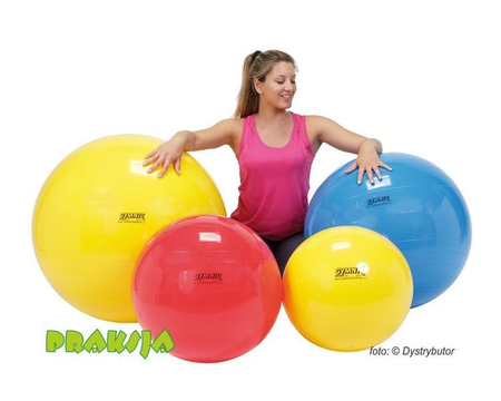 Piłka rehabilitacyjna - ø 75 cm - typu "Classic" - Gymnic®