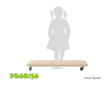 Deskorolka terapeutyczna 50x100 cm - wariant "Pastelowy" - Praksja