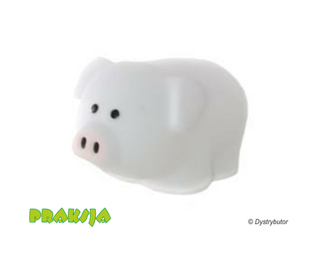 Świecące zabawki do jaskini sensorycznej (6 szt.) – Amaya®