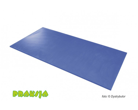 Mata rehabilitacyjna Airex® Herkules 200 cm