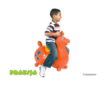 Duży skoczek dla dzieci Rody MAX – Gymnic®