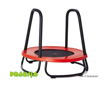 Trampolina dziecięca 74 cm - Gonge®