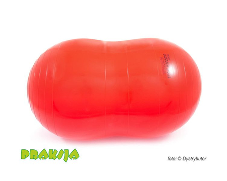 Piłka rehabilitacyjna typu "Orzeszek" - ø 55 / 90 cm - Physio Roll - Gymnic®