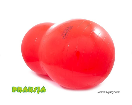 Piłka rehabilitacyjna typu "Orzeszek" - ø 55 / 90 cm - Physio Roll - Gymnic®