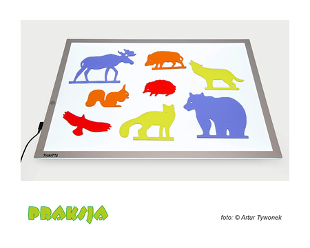 Mega zestaw: Zestawy tematyczne do paneli led (10 zestawów tematycznych)