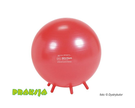 Piłka do siedzenia - ø 55 cm - Sit'n'Gym - Gymnic®