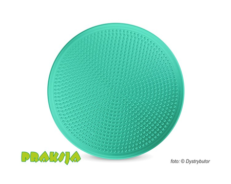 Dysk sensomotoryczny ∅33 cm  - miętowy - 4Fizjo®