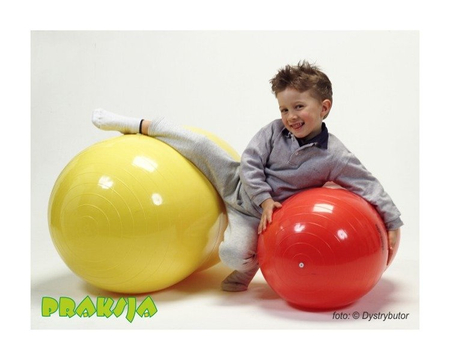 Piłka rehabilitacyjna typu "Orzeszek" - ø 70 / 115 cm - Physio Roll - Gymnic®