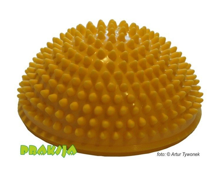 Półkula sensoryczno-równoważna - MSD® - 1 szt.