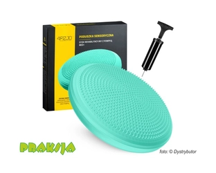 Dysk sensomotoryczny ∅33 cm  - miętowy - 4Fizjo®