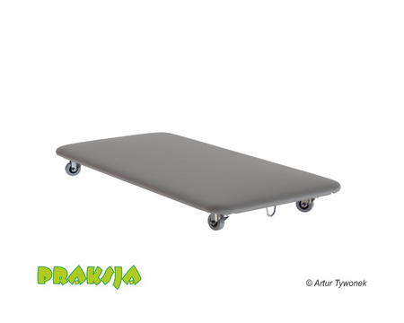 Deskorolka terapeutyczna 50x100 cm - wariant Pastelowy - Praksja