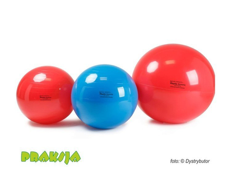 Piłka rehabilitacyjna Physio 95 cm - niebieska - Gymnic®