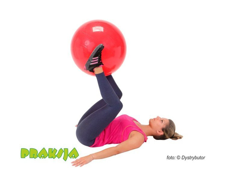 Piłka rehabilitacyjna - ø 55 cm - typu "Classic" - Gymnic®