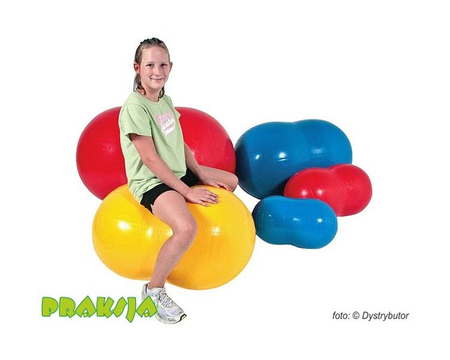 Piłka rehabilitacyjna typu "Orzeszek" - ø 30 / 50 cm - Physio Roll - Gymnic®