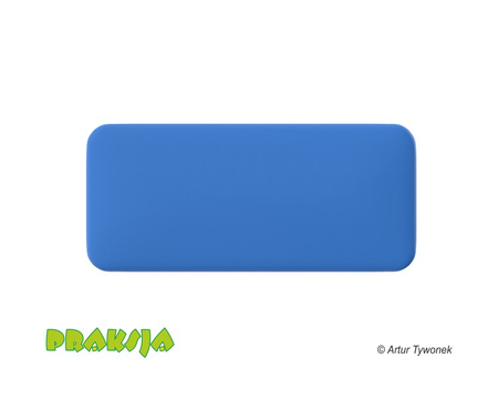 Deskorolka terapeutyczna 40x90 cm - Praksja