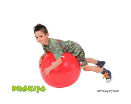 Piłka rehabilitacyjna - ø 55 cm - typu "Classic" - Gymnic®