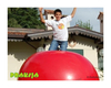 Piłka Olbrzymia MegaBall – Ø180 cm – Gymnic®