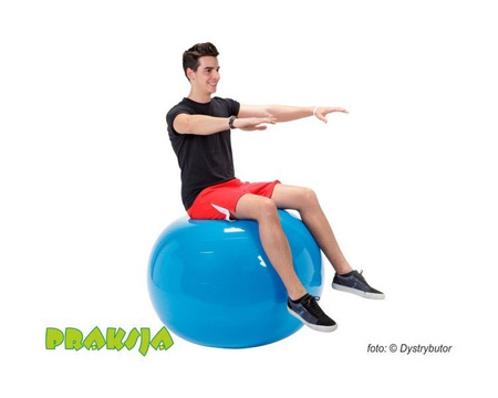 Piłka rehabilitacyjna Physio 95 cm - niebieska - Gymnic®