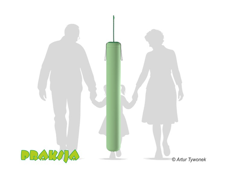 Huśtawka terapeutyczna typu "Parówka" - Praksja