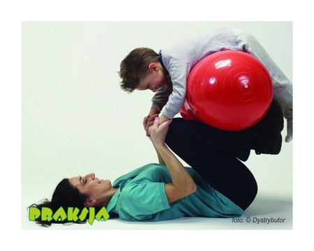 Piłka rehabilitacyjna typu "Orzeszek" - ø 40 / 65 cm - Physio Roll - Gymnic®