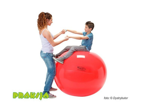 Piłka rehabilitacyjna Physio 95 cm - niebieska - Gymnic®