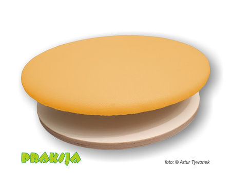 Deska Rotacyjna do Terapii Integracji Sensorycznej ø50 cm wariant "Pastelowy"