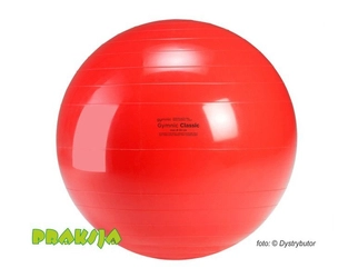 Piłka rehabilitacyjna - ø 55 cm - typu "Classic" -  Gymnic®