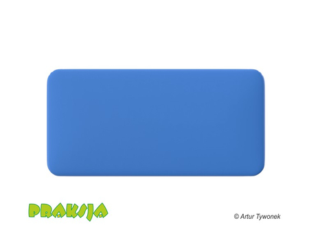 Deskorolka terapeutyczna 50x100 cm - Praksja