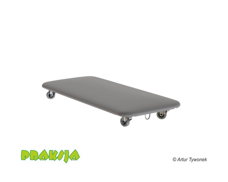 Deskorolka terapeutyczna 40x90 cm - wariant "Pastelowy" - Praksja
