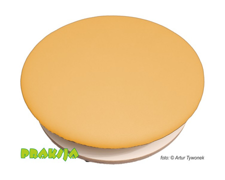 Deska Rotacyjna do Terapii Integracji Sensorycznej ø50 cm wariant "Pastelowy"